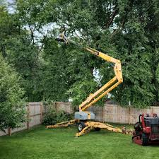 Leaf Removal in Adamstown, PA
