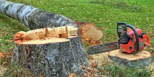 Best Utility Line Clearance  in Adamstown, PA