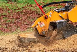 Best Firewood Processing and Delivery  in Adamstown, PA