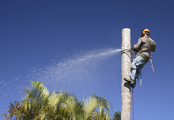 Lawn Irrigation Installation and Maintenance in Adamstown, PA