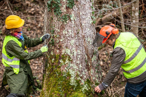  Adamstown, PA Tree Care Pros